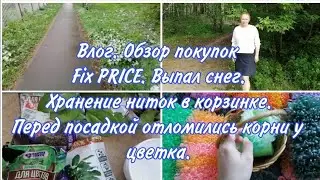 Влог. Покупки Фикс прайс. Пересадка цветов и сломала корень. Хранение ниток в корзинке при вязании.