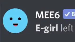 Discord mods when the egirl leaves the server