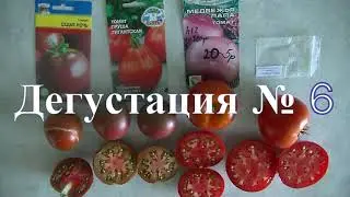 Дегустация 2024 -  № 6