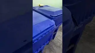 Toronto dumpster diving 