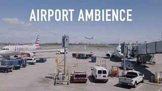 Airport Ambience | Authentic Airport Sounds (Announcements, Chatter)