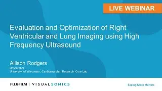 Evaluation and Optimization of Right Ventricular and Lung Imaging using High Frequency Ultrasound