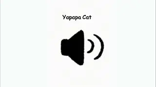 Yapapa Cat