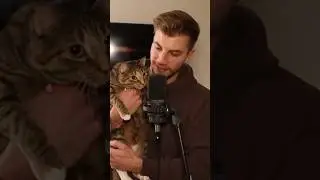 Cat Does ASMR 