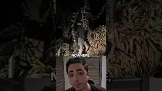 We Have An Update On The Real Life Animatronic 😭