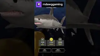Porbeagle Shark at Sea | mdawggaming on #Twitch