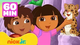 Dora & Diegos mutige Tierrettungen! 1 Stunde | Nick Jr. Deutschland