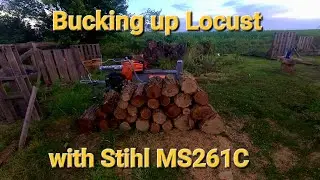 #50 Bucking up some Locust with Stihl MS261C