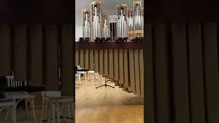 Маримба с оркестром? Класс!
