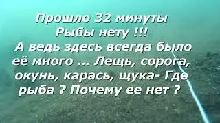 Бурлилка  -  нет рыбы  все дно усеяно белыми шариками..Что это ? 03 03 2023 год