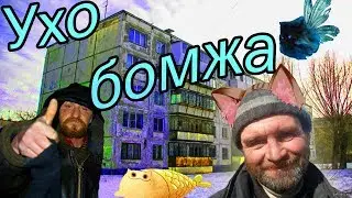 Новая тайна, ухо бомжа  |RUUWG 18+