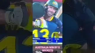AUSTRALIA VS INDIA intense thriller match #viral #shorts #fyp