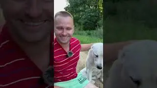 ВЕЧЕРНЯЯ ПРОГУЛКА ПО ЛЕСНОЙ ДОРОГЕ С СЕМЬЕЙ❤️❤️❤️