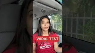 Learn WIDAL TEST for TYPHOID #typhoidfever #doctor #medicine #neetpg #neet #shorts