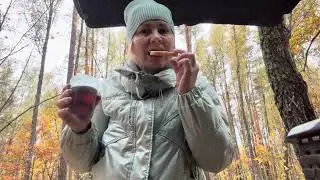 Съездили в лес за грибами . Встретили Лосей ,