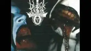 The True Black Dawn - Pitbound The 4th Trial Of Acolyte