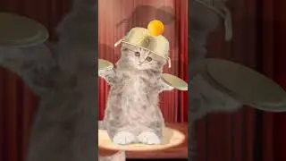 I did it!! 3 / ping pong ball song/ funny pets /funny cat animation / healing / 재미있는 고양이 애니메이션/ 힐링샵