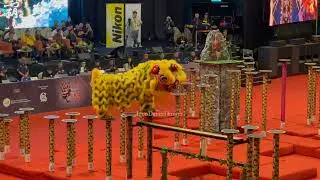 [FINAL] Xi Nan Kelapa Sawit 柔佛沙威西南宫龙狮团 - 20th Malaysia National Lion Dance Championship 2024