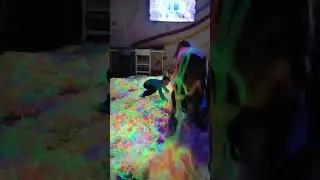 Разыграли родителей 😂