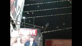 klarifikasi guyss ternyata Burung wiliss🤭 mau imigrasi kayak ny malem-malem🤦‍♂🤩🤩😂😂