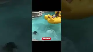 Shot on iPhone Meme #shorts  #viral  #shotoniphonememe