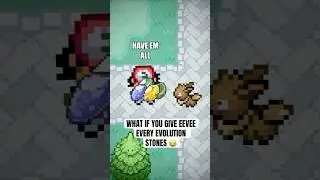 What if you give Eevee every evolution stones 😂 