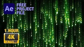 Matrix Green Rain Code 4K [FREE FILE]