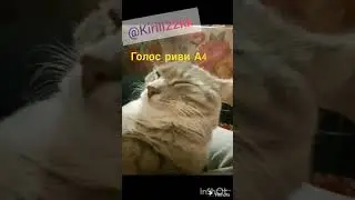 голос риви А4 под моë видео 
