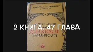 С любимыми книгами: 