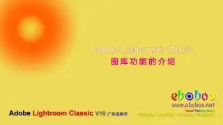 Adobe Lightroom Classic 图库功能的介绍 - 广东话教学