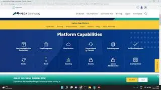 PEGA API, JavaScript API and Engine API