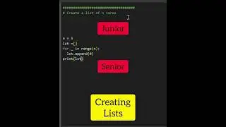 Junior Vs. Senior Python Developer 