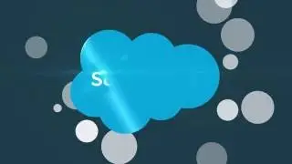 Better Sales Performance With LeadSeed for Salesforce