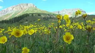 Little Molas Lake Hike On The Colorado Trail