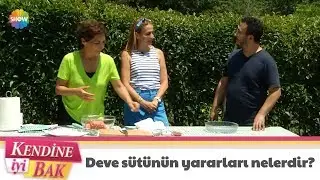 Deve sütünün yararları nelerdir?