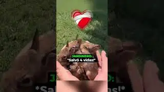 Casi Lastima A Los Conejitos! 😳
