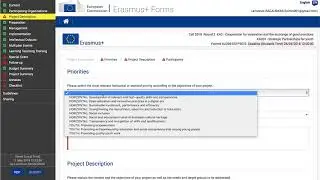 Erasmus+ KA2 Application Form tutorial. Part 1 - Context, Organisations and Description