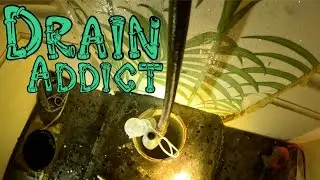 Blocked Drain 843