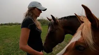 Aries meets Jasmine