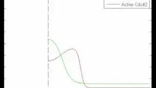A Model for Pattern Formation of RhoGTPases in Single-cell Wounding
