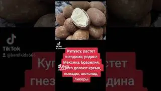 фрукты, которые странно выглядят