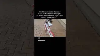 1985 DP Firebird Freestylers