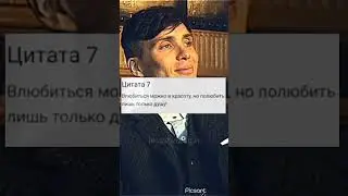 Цитата