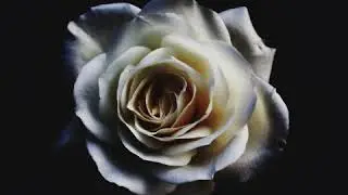 Heart on rebuild (Slow emotional rnb instrumental)
