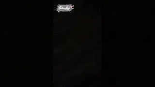 Olahan ikan terbang indosiar