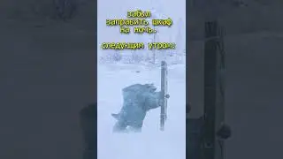сгнила хата в RUST / РАСТ  