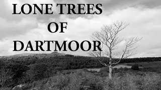 DARTMOOR LANDSCAPE PHOTOGRAPHY. #73