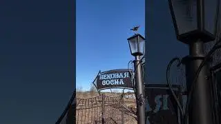 Селтинский район