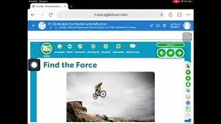 Reading Accessibility in FLVS  iPad