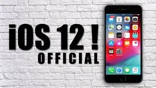 iPhone 6S iOS 12 Review!